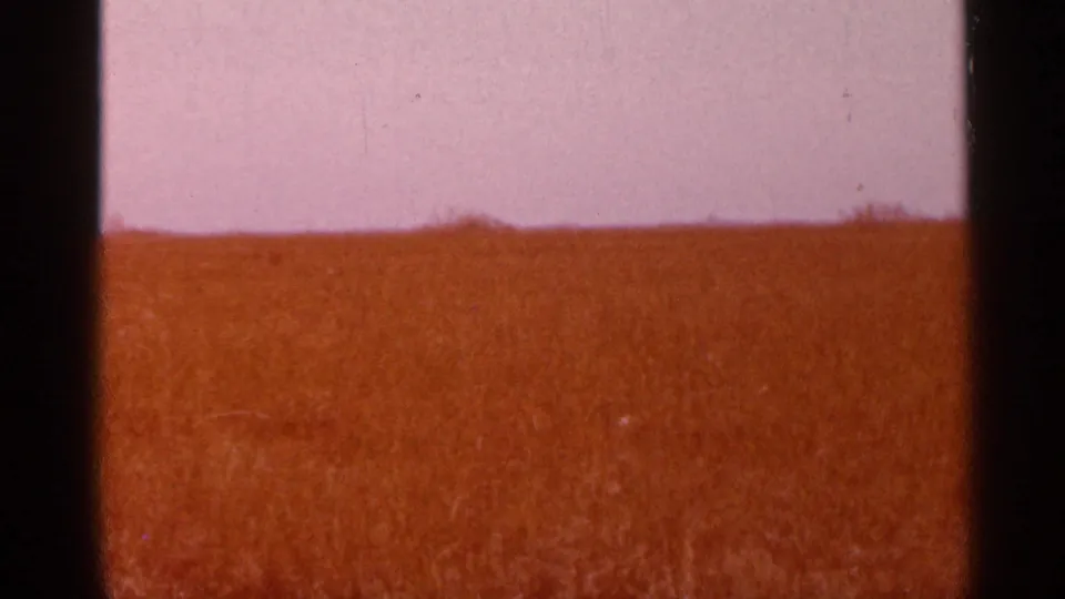 1966 Florida home-movie frame showing an open grassy field and low horizon, with warm faded 8mm color.