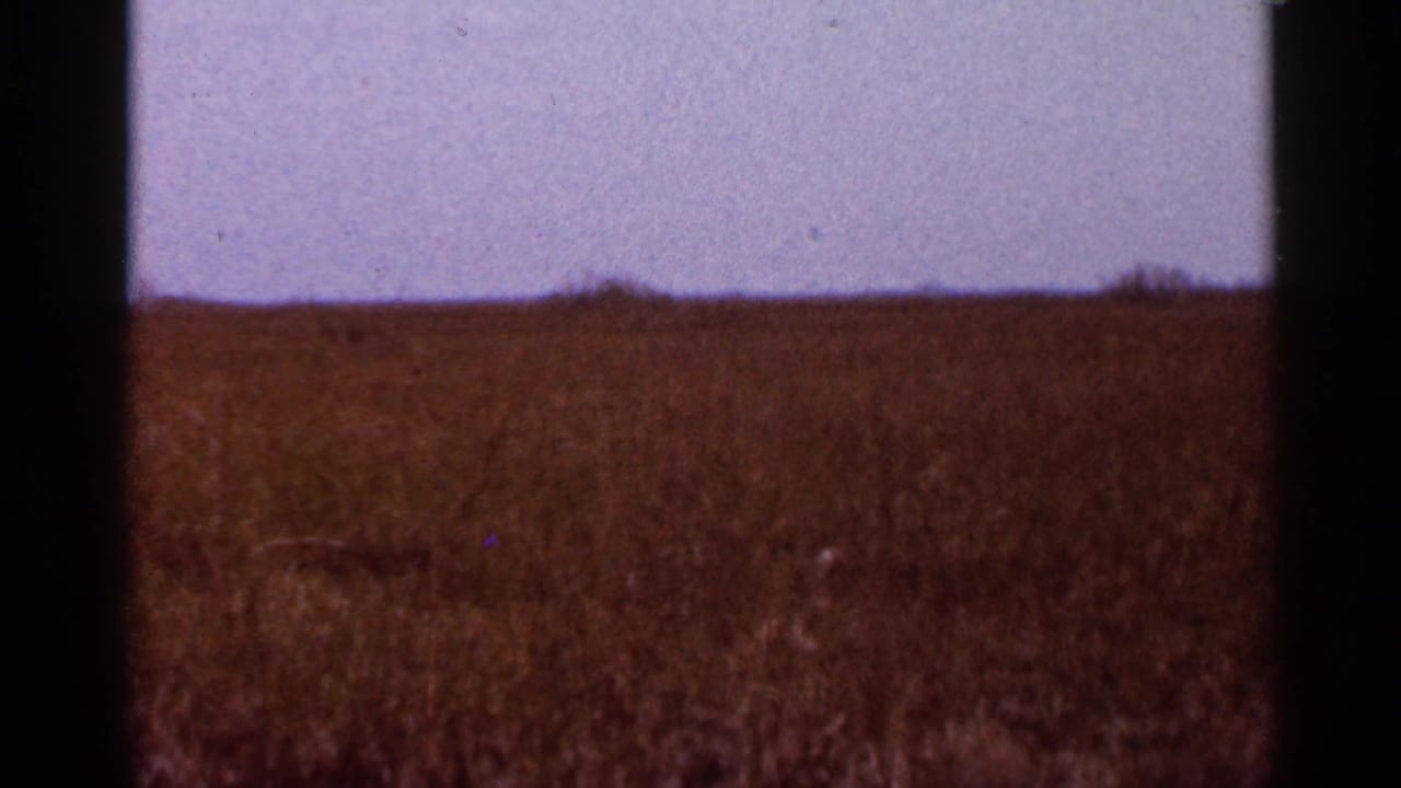 Dry grass field under a pale sky with dark film borders.