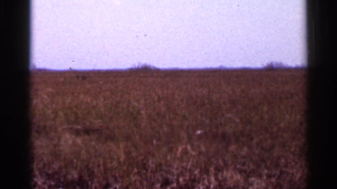 1966 Florida 8mm frame of an open brown grass field with a low horizon, pale sky, and visible home-movie color shift.