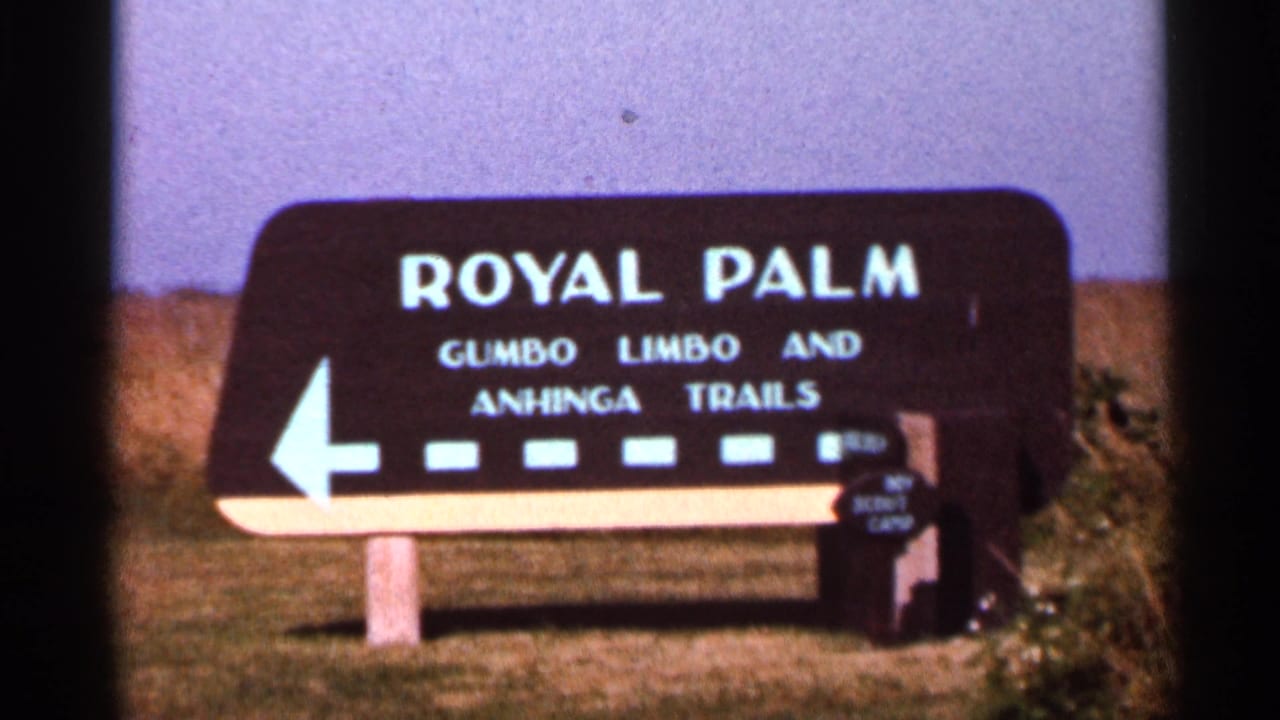 1966 Florida frame showing a Royal Palm sign for Gumbo Limbo and Anhinga Trails with a left-pointing arrow beside dry grass.