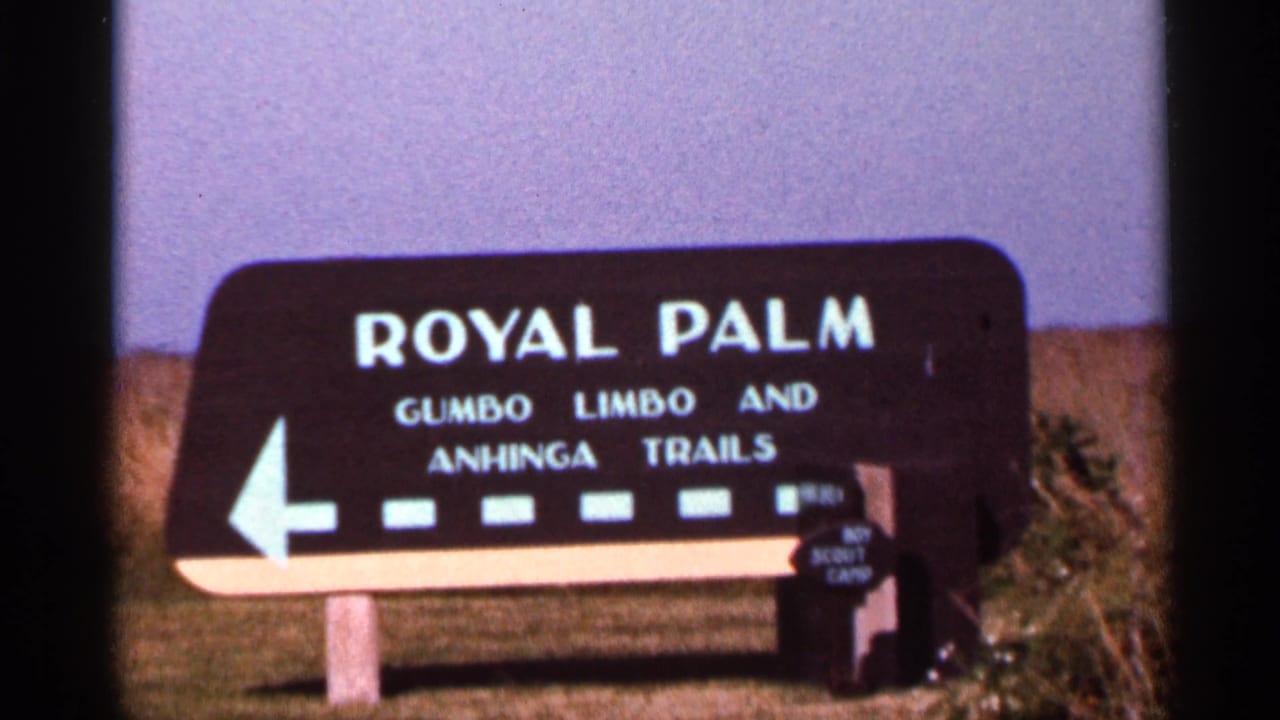 1966 Florida 8mm close view of the Royal Palm trail sign reading Gumbo Limbo and Anhinga Trails with a left arrow.