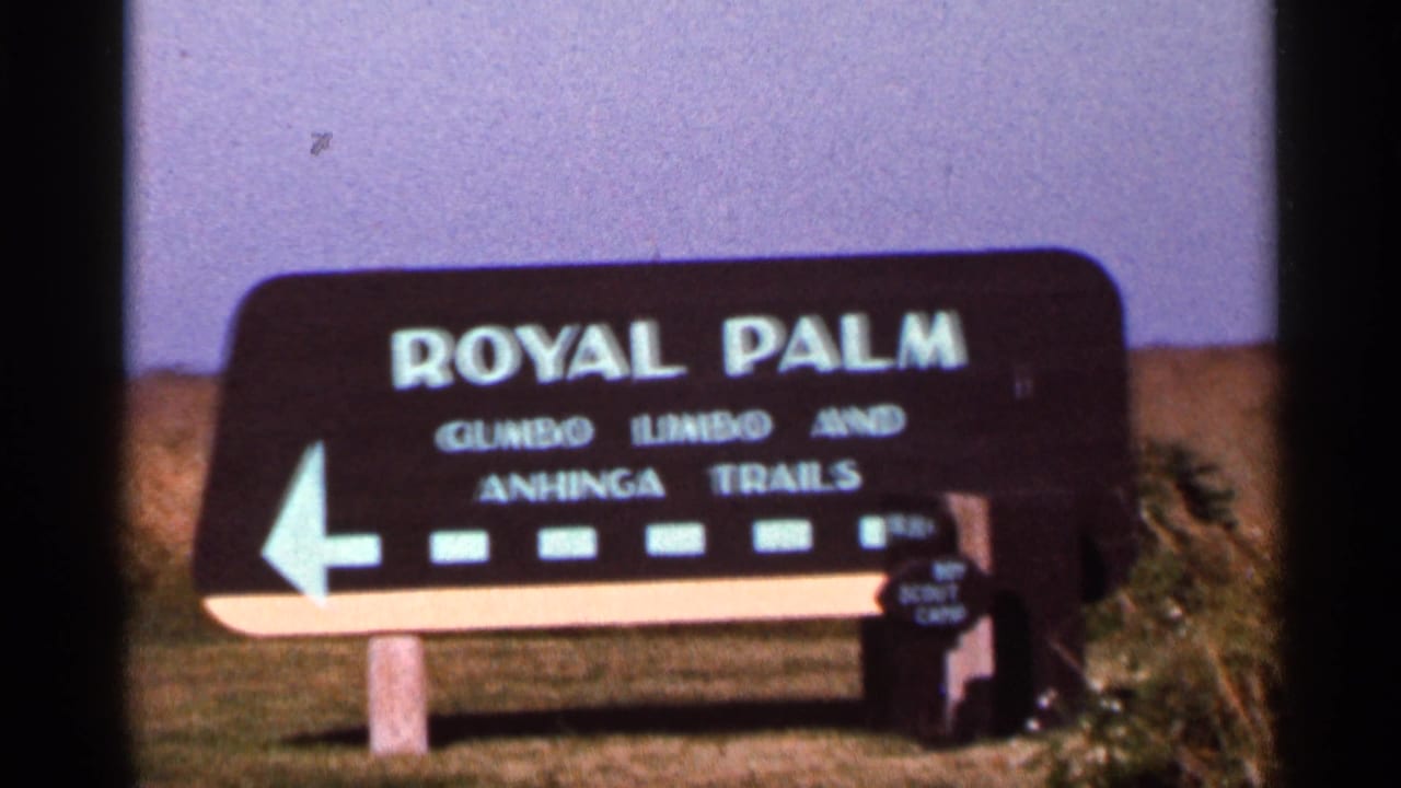 Royal Palm trail sign with a left arrow beside open grass.