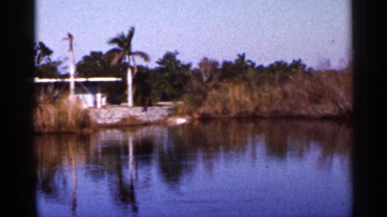 A wider 1966 Florida lake view shows still water, reeds, palms, and a small distant shoreline structure reflected on the surface.