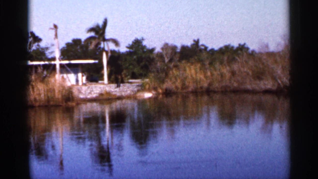 Calm waterway bordered by reeds and palms with a small structure on the bank.