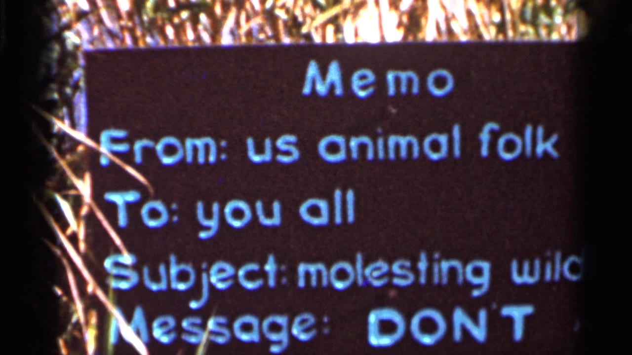 Close 1966 Florida 8mm view of a handwritten conservation memo reading in part, 'DON'T,' about disturbing wildlife.