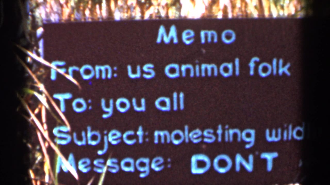 Close view of a memo-style sign with blue lettering and grass at the edges.