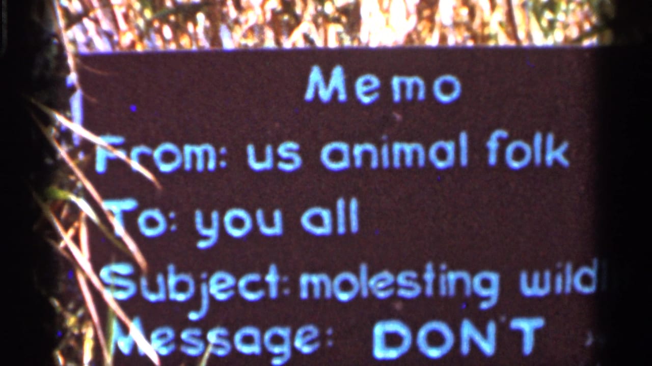 Similar close view of the memo sign, cropped at the right edge with grass visible.