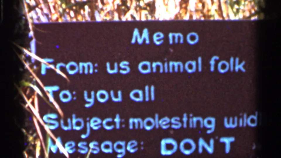 1966 Florida home-movie frame of the memo-style animal warning sign, partially cropped with grass and dark film borders visible.