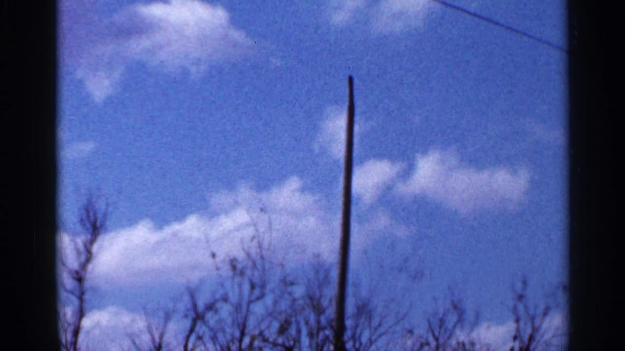 Tall wooden post against blue sky with bare tree branches below.