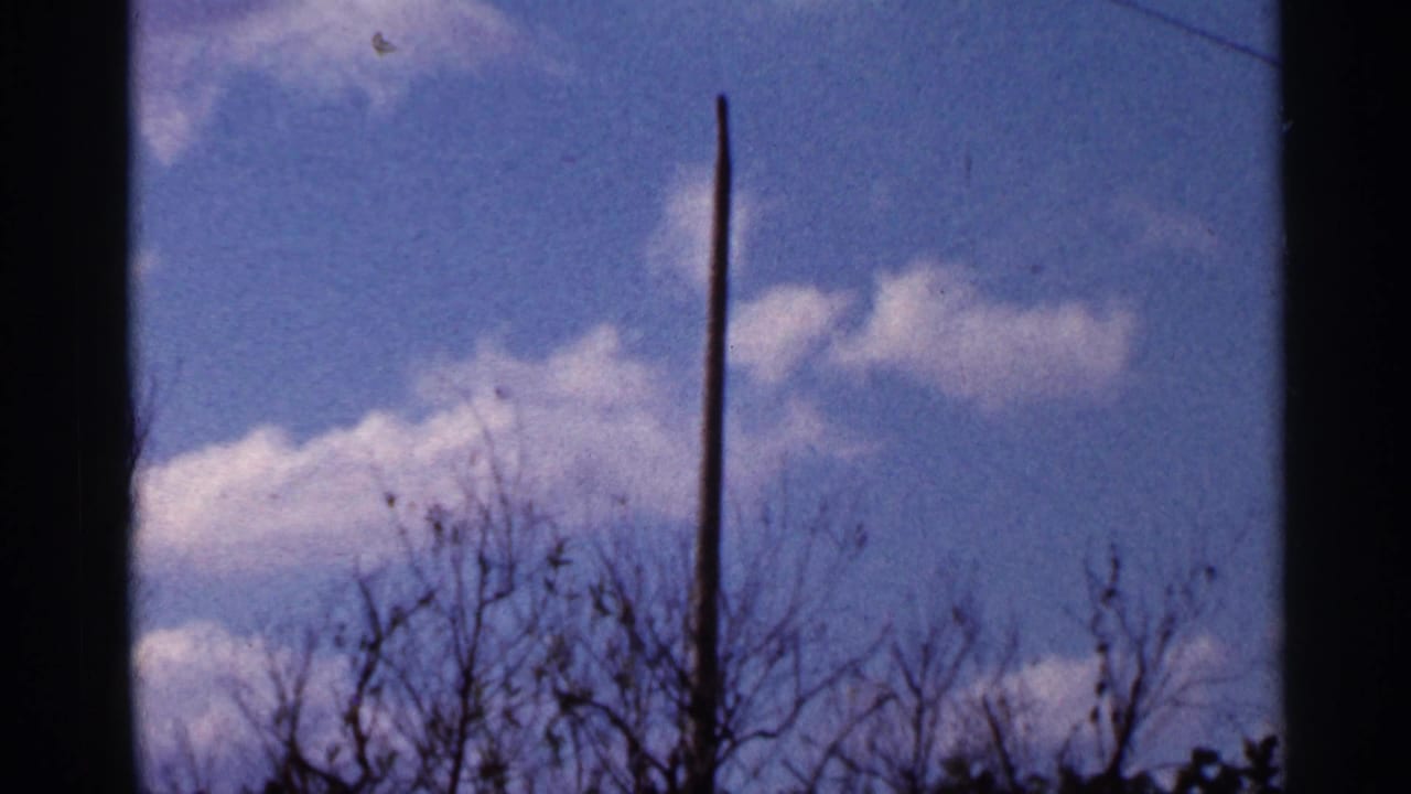 1966 Florida home-movie frame with a tall post, wintery-looking branches, soft clouds, and visible 8mm film borders.
