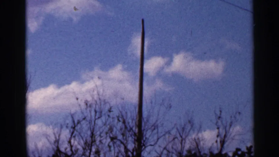 1966 Florida home-movie frame with a tall post, wintery-looking branches, soft clouds, and visible 8mm film borders.