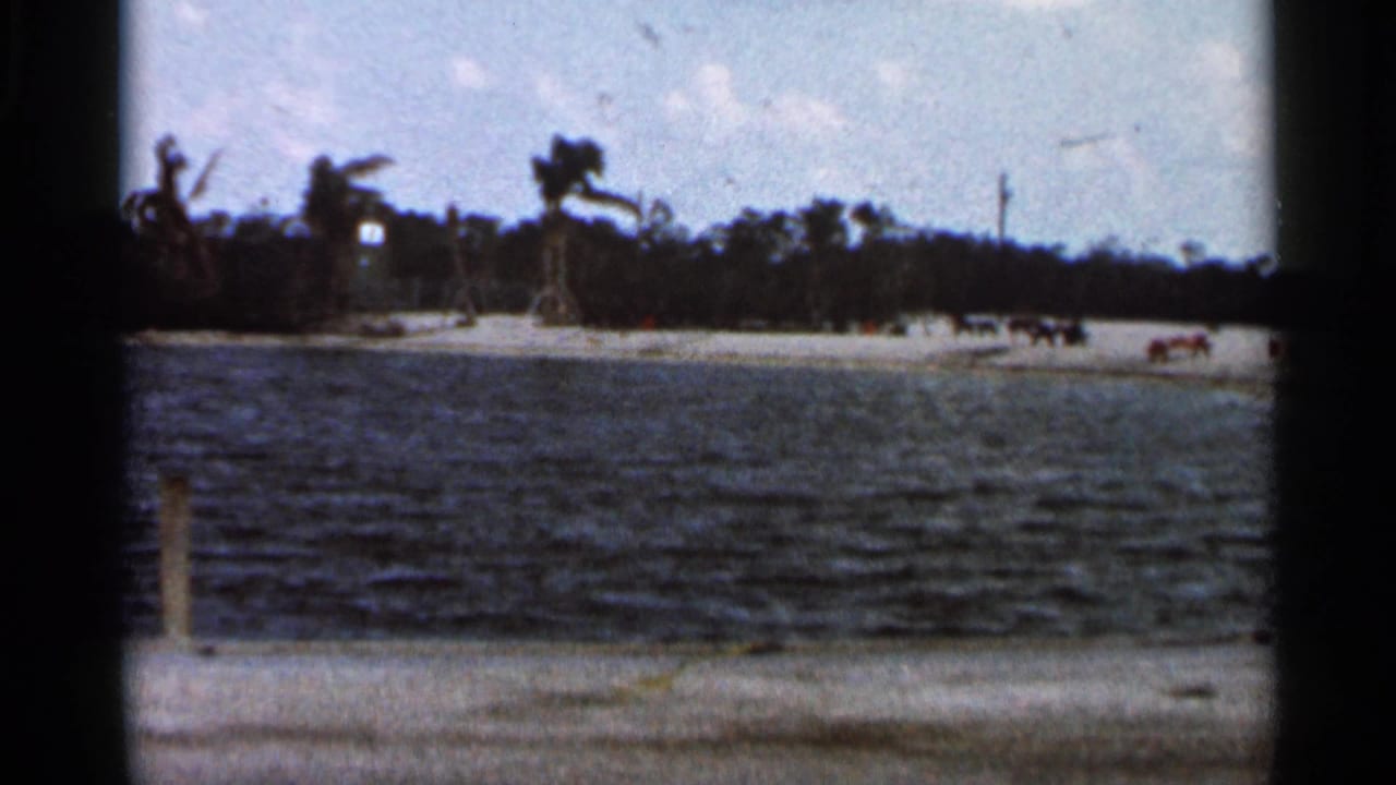 1966 Florida waterfront frame with rippled water in front of a pale sandy bank, palm trees, and small distant activity along the shore.