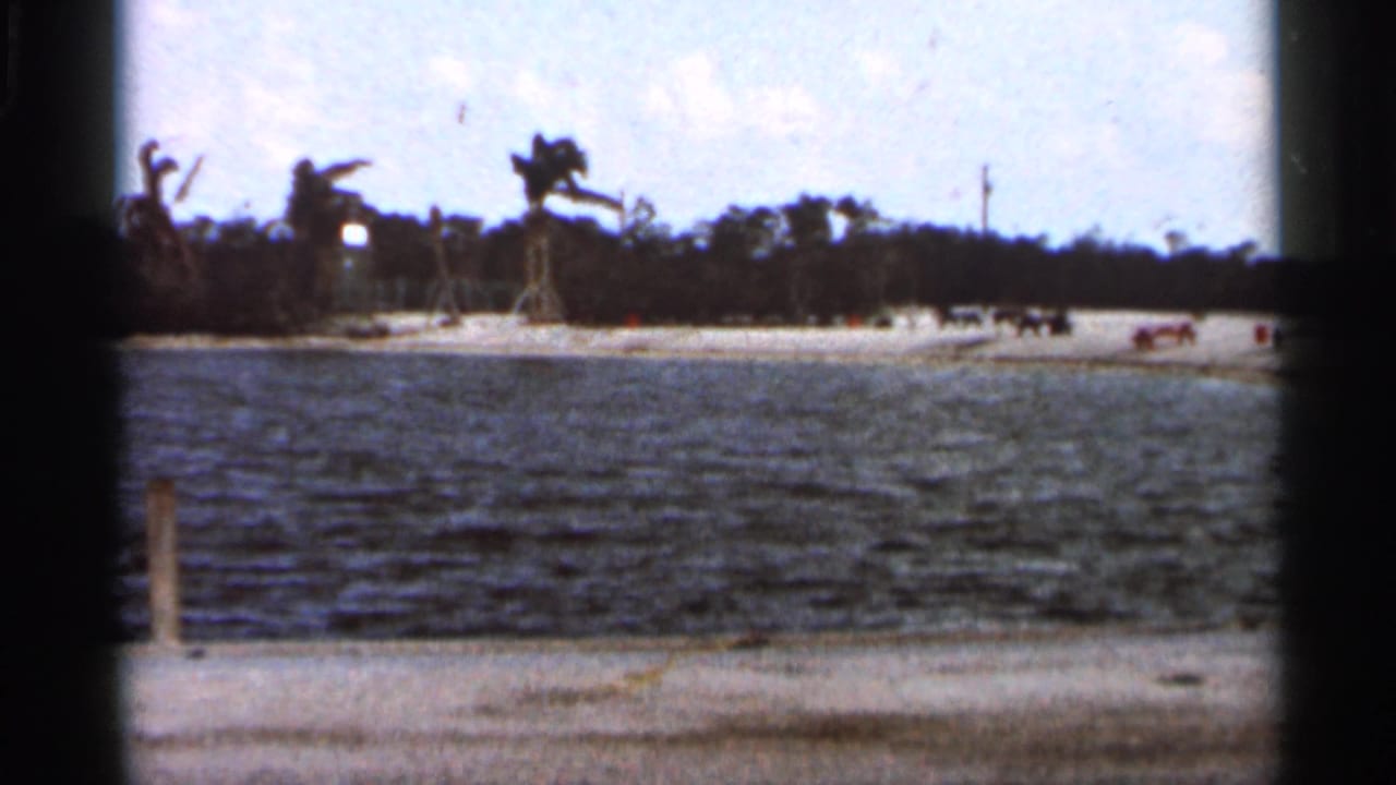 1966 Florida 8mm frame showing a sandy shoreline with palms, rippled water, small distant vehicles, and dark film-edge framing.