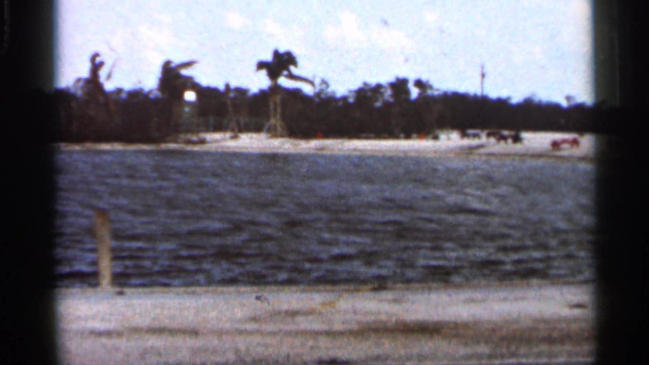 1966 Florida home-movie frame with rippled water, sandy shoreline, palm trees, and tiny distant figures or vehicles near the bank.