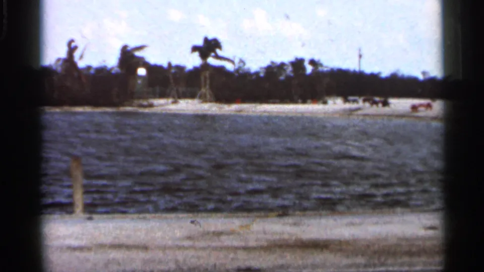 1966 Florida home-movie frame with rippled water, sandy shoreline, palm trees, and tiny distant figures or vehicles near the bank.