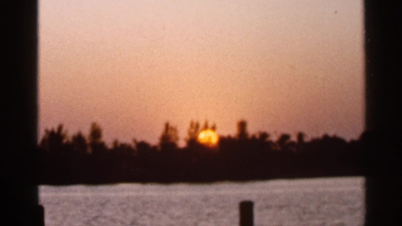 Warm Florida sunset frame with silhouetted trees, water in the foreground, and a single vertical post near the lower edge.