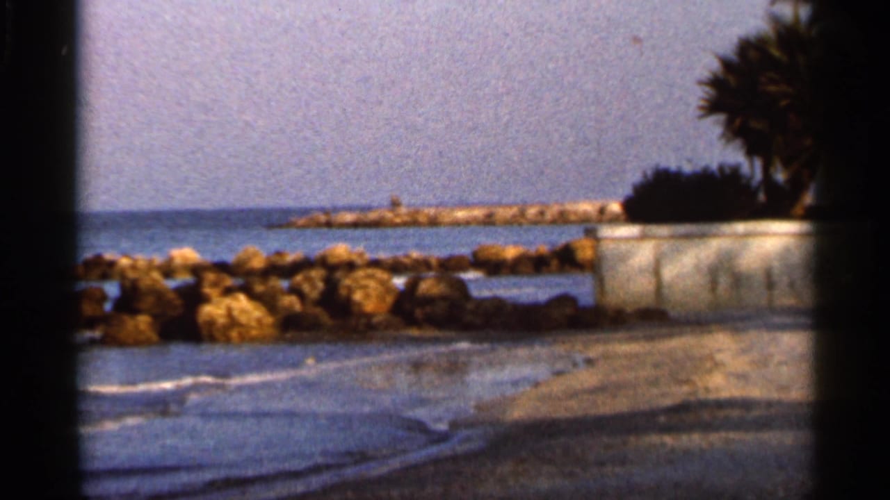 1966 Florida beach frame showing rocks along the shore, calm water, a palm silhouette, and dark 8mm frame borders.
