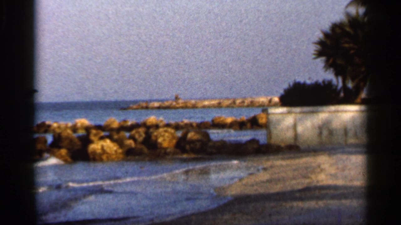 Rocky Florida shoreline with waves, breakwater, palm tree, and seawall.