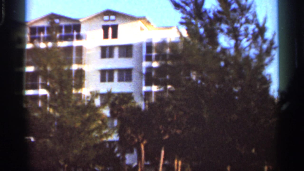 White multi-story building partly hidden by trees under bright blue sky.