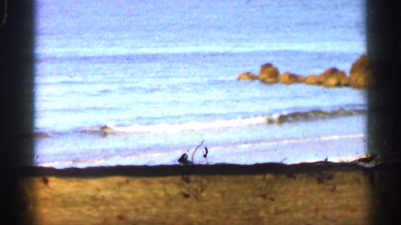 Beach shoreline with ocean water, sand, and small rocks offshore.