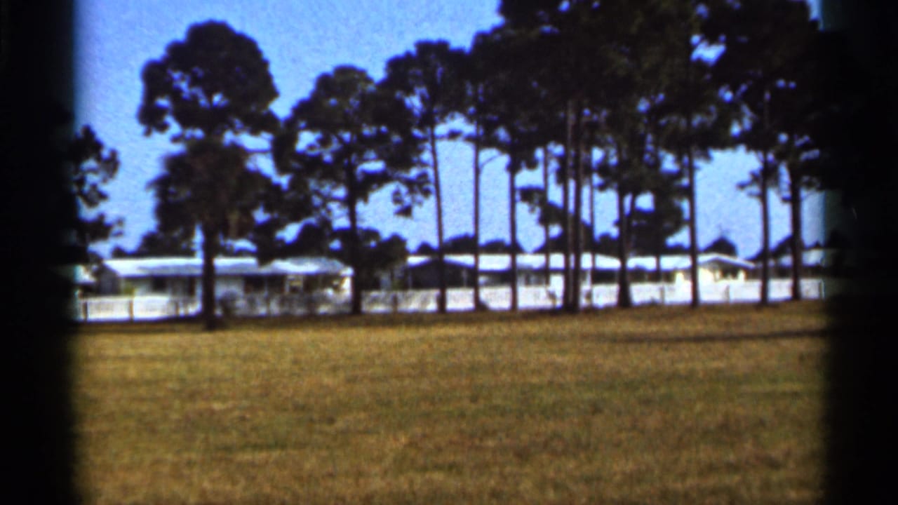 1966 Florida 8mm frame with tall pines, a grassy foreground, and white mobile homes or low buildings in the background.
