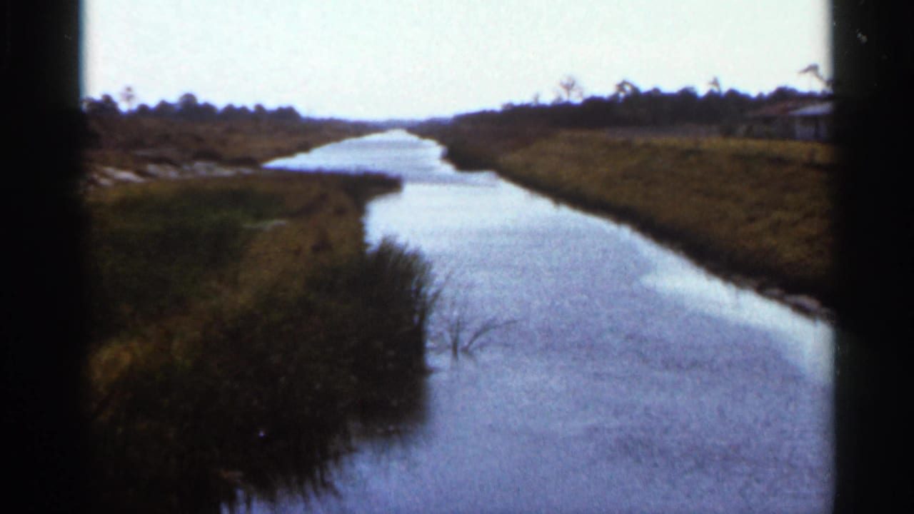 1966 Florida 8mm frame of a quiet canal, foreground reeds, grassy banks, and distant shoreline vegetation.