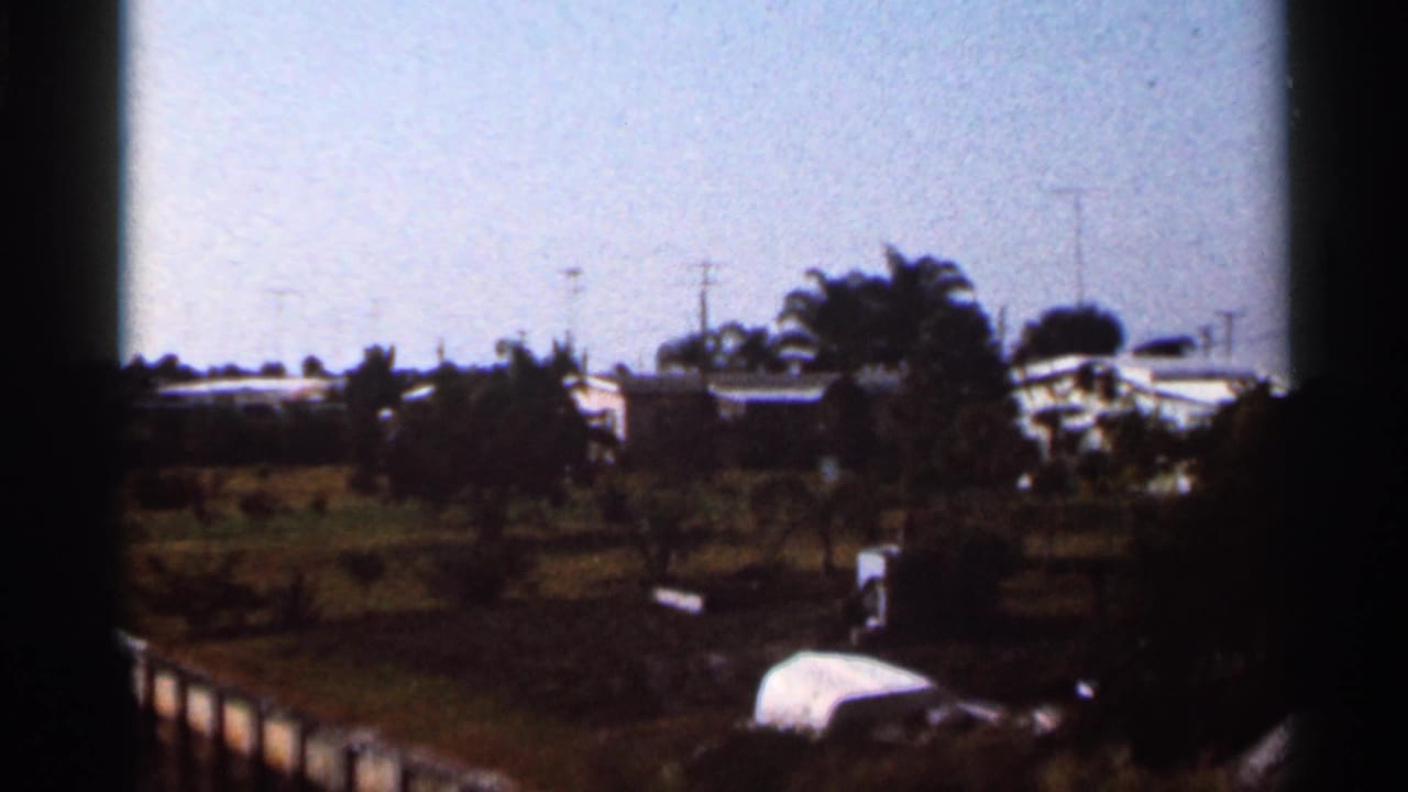 1966 Florida shoreline view with palms, open grass, a dock edge, utility poles, and low residential-looking structures in the distance.