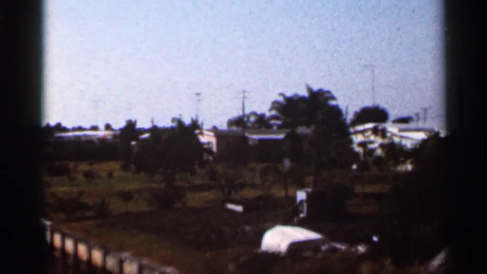 1966 Florida shoreline view with palms, open grass, a dock edge, utility poles, and low residential-looking structures in the distance.