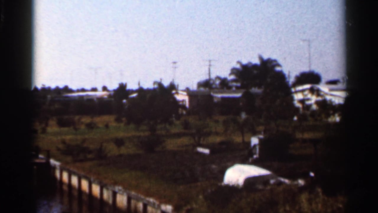 Suburban Florida view with palm trees, low buildings, a canal edge, and parked vehicles.
