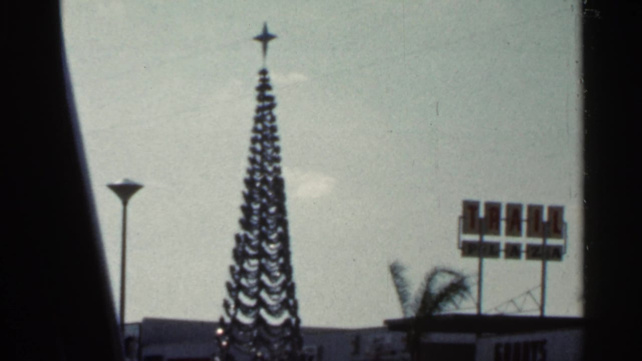 Outdoor Christmas tree beside palm trees and a roadside sign, viewed through a window.