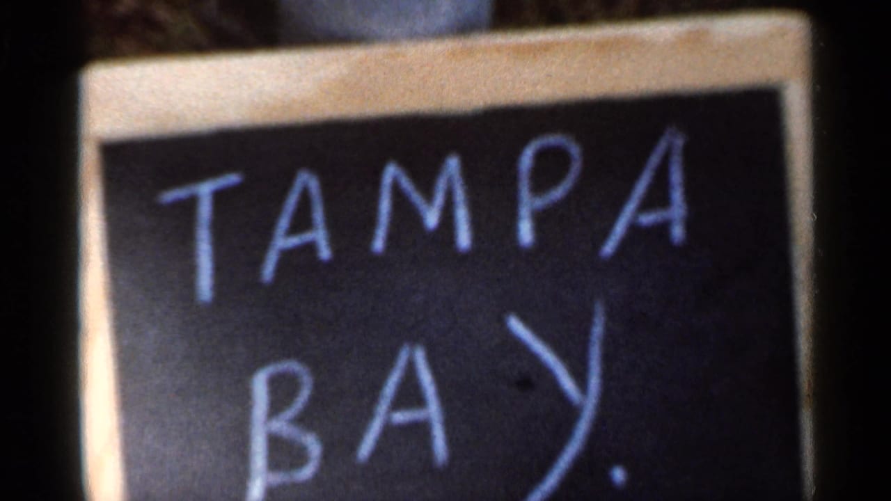 Handwritten chalkboard sign reading Tampa Bay in close-up.