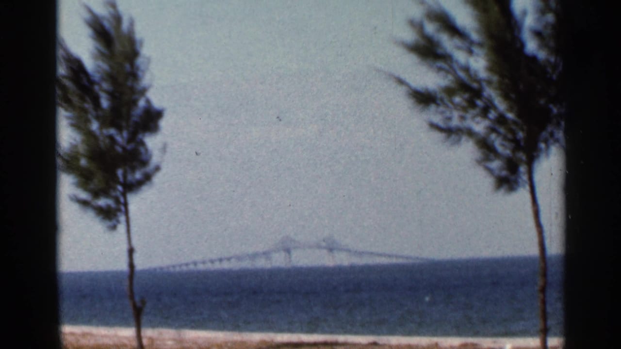 A wide 1966 Florida beach frame shows two trees, Tampa Bay water, and a distant bridge on the horizon.