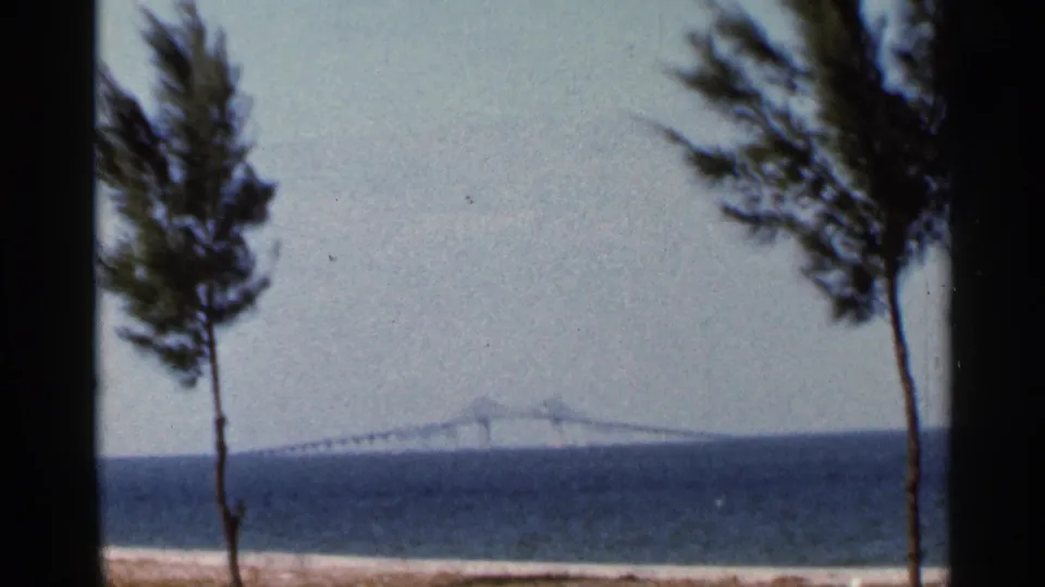 A wide 1966 Florida beach frame shows two trees, Tampa Bay water, and a distant bridge on the horizon.
