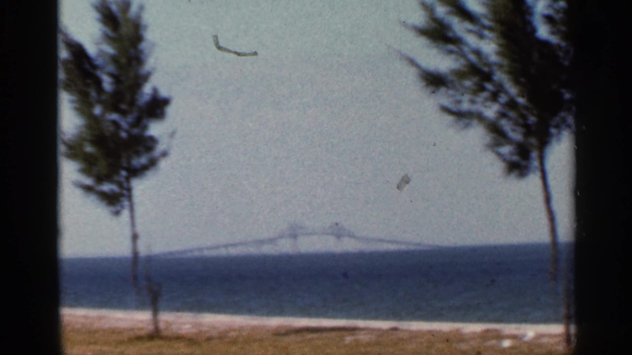 Final 1966 Florida home-movie frame with windblown trees, beach, bay water, and a faint distant bridge.