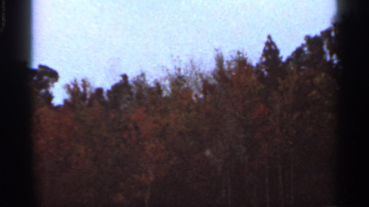Wooded hillside with red and brown foliage under a pale blue sky.