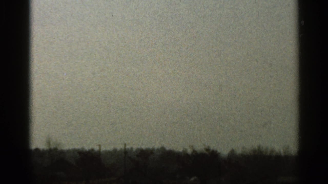 Dark-bordered frame with pale sky over a distant tree line and low rural field.