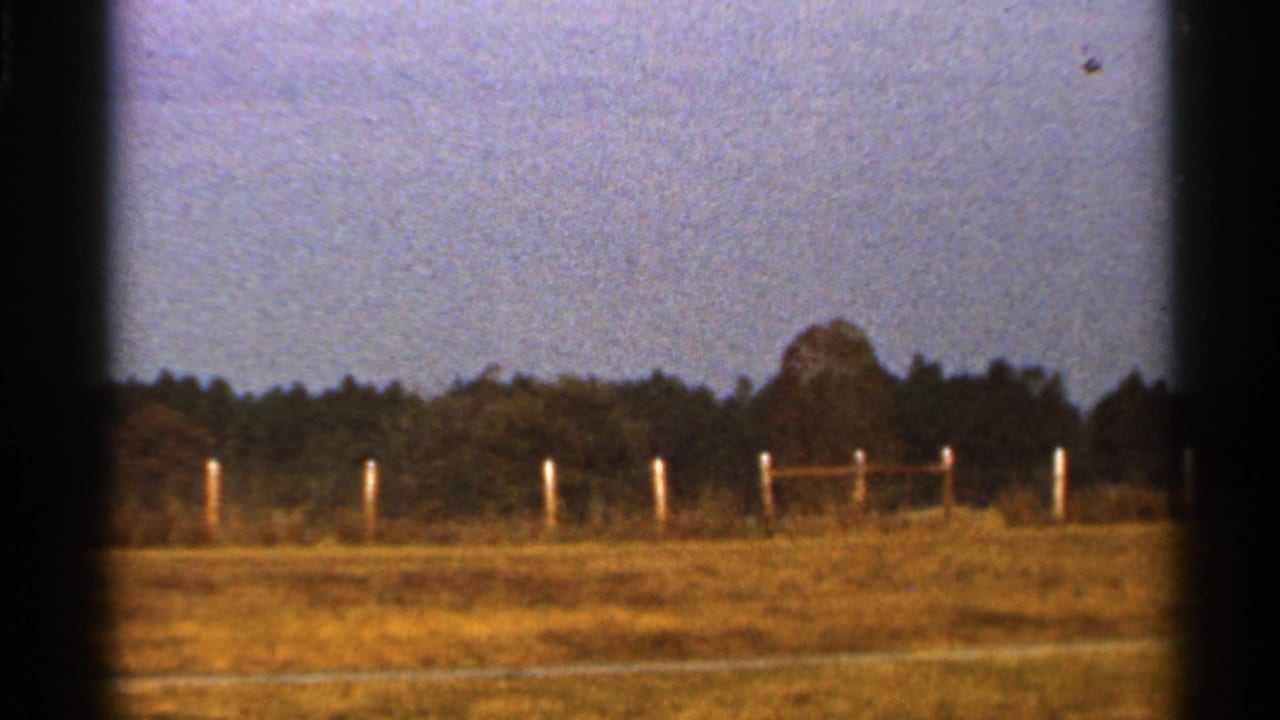 Grassy field with fence posts, distant tree line, and pale sky seen from a moving vehicle.