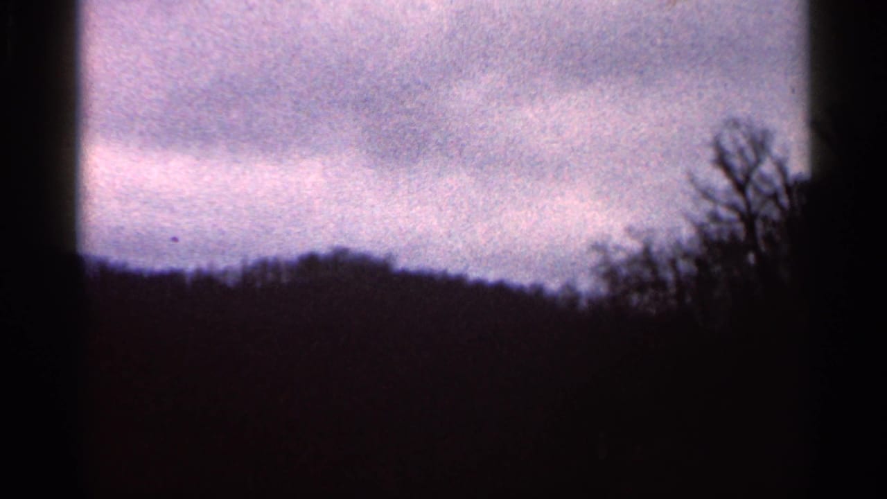 Dark treeline below a purple-gray cloudy sky with 8mm frame edges.