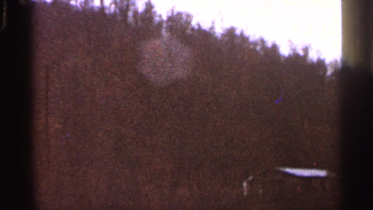 1966 Georgia 8mm frame looking across a wooded hillside, with pale sky above and a faint small structure or object at lower right.
