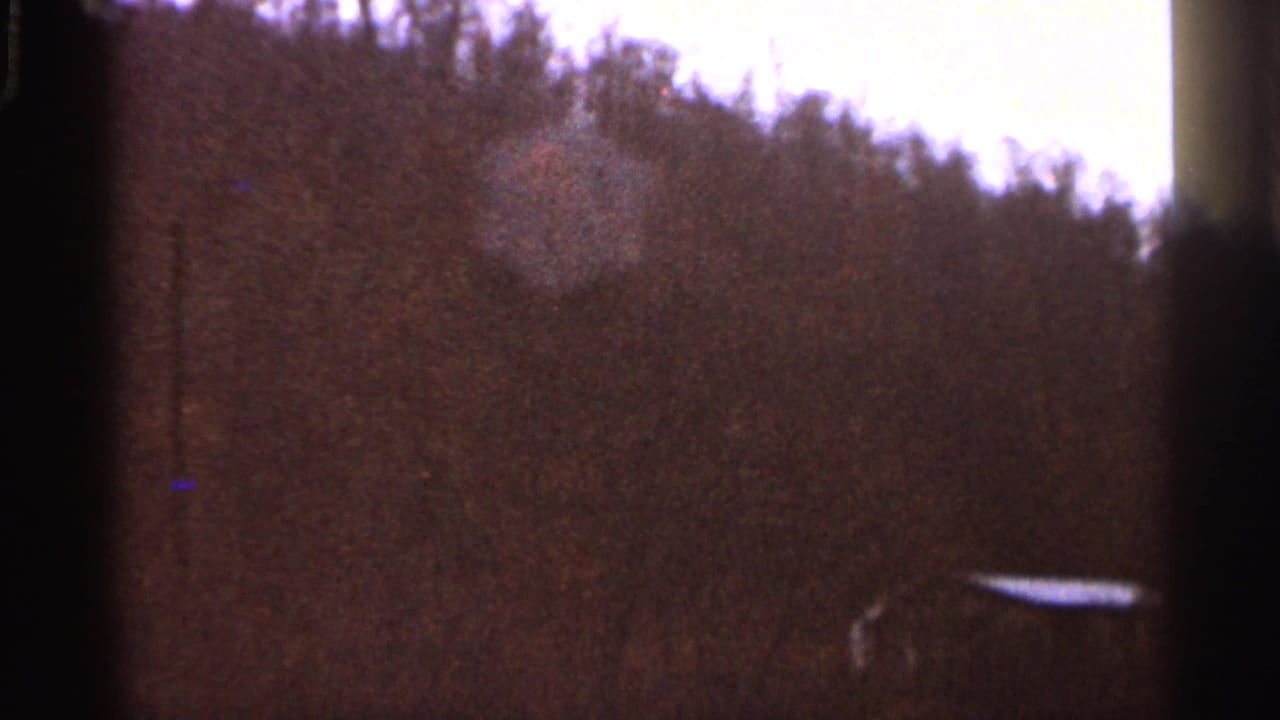 1966 Georgia 8mm frame showing a soft, grainy wooded hill under pale sky, with a dark vertical film edge at right.