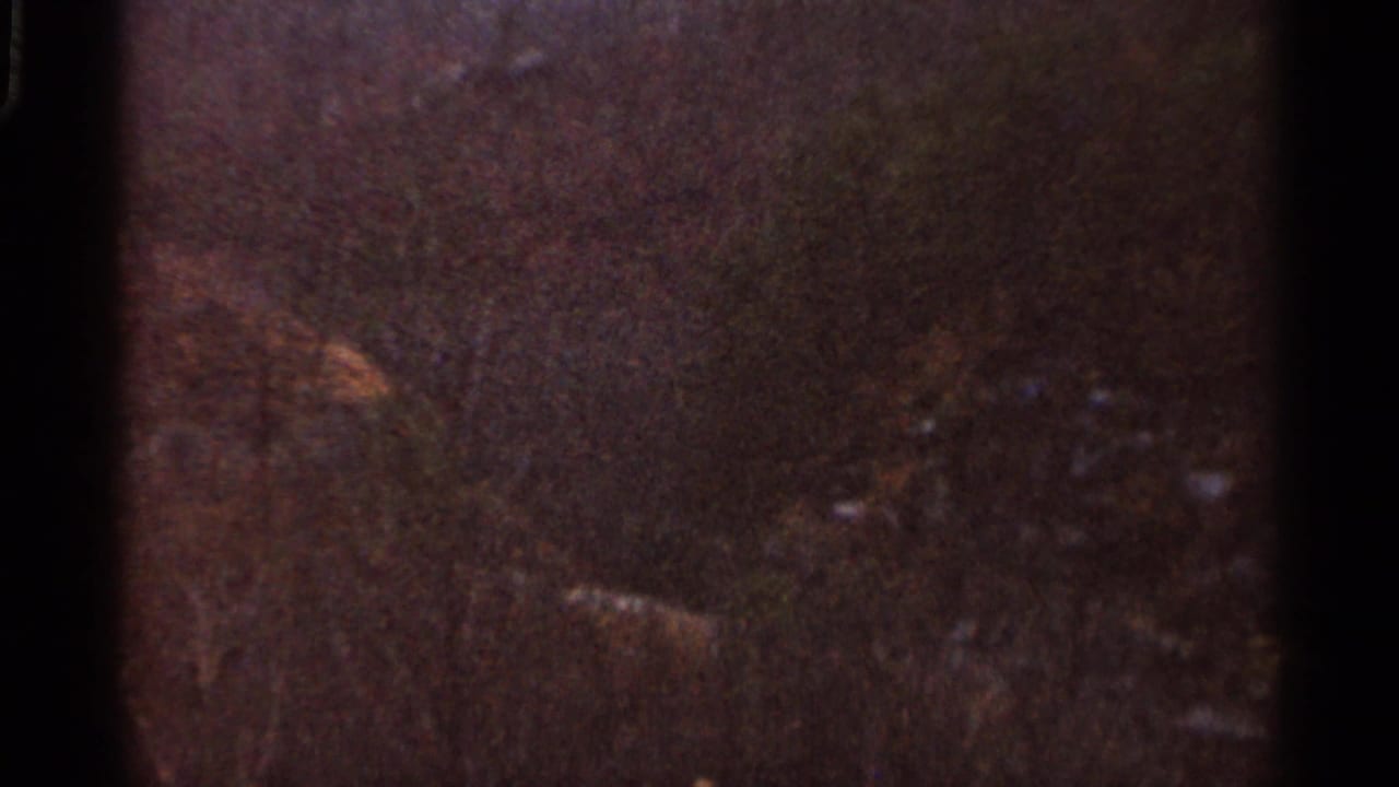 1966 Georgia 8mm frame of a dark wooded slope, with scattered light patches, heavy grain, and low exposure.