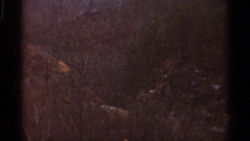 1966 Georgia 8mm frame of a dark wooded slope, with scattered light patches, heavy grain, and low exposure.