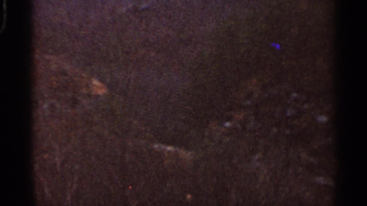Overhead Georgia pine forest view on 8mm film, with dense canopy, dim exposure, grain, and small red-blue film artifacts.