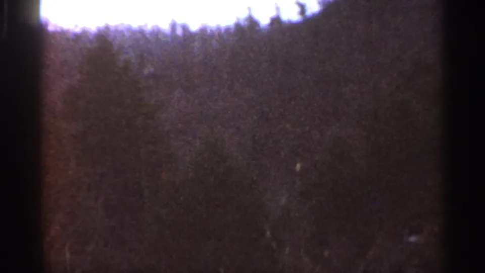 1966 Georgia home-movie frame showing a soft, grainy view of a wooded hillside under a bright overcast sky.