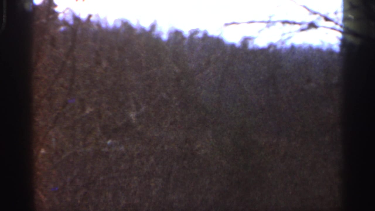 Wooded ridge and bare branches under a bright sky.