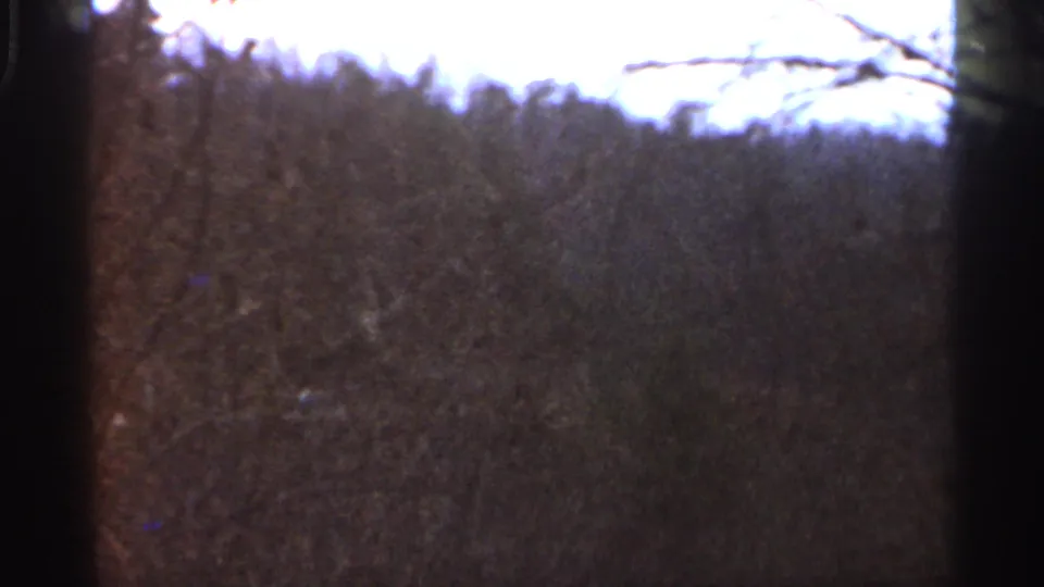 Grainy 8mm view of a wooded Georgia ridge with bare branches and a pale overcast sky.
