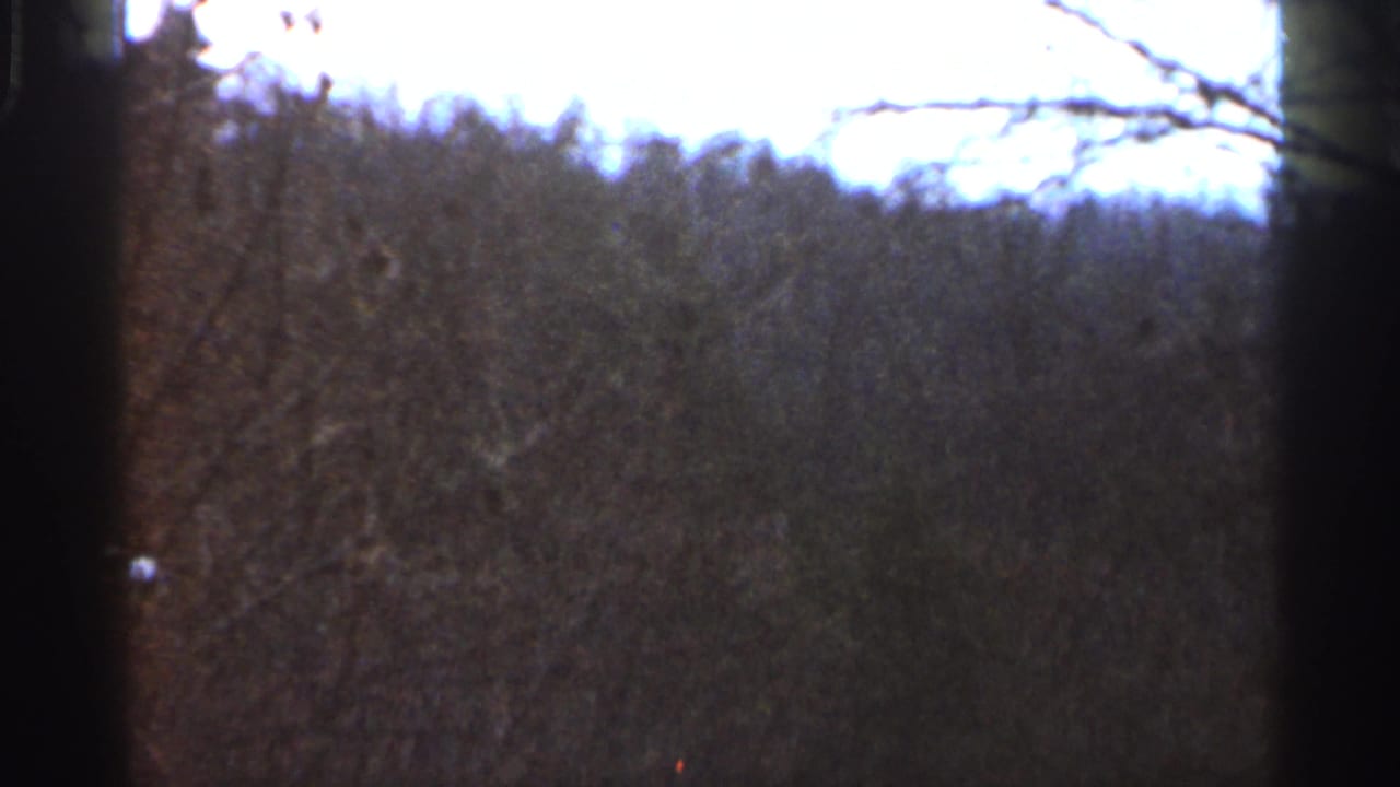 A dim, soft 1966 Georgia roadside view shows dense bare trees below a bright sky on 8mm film.