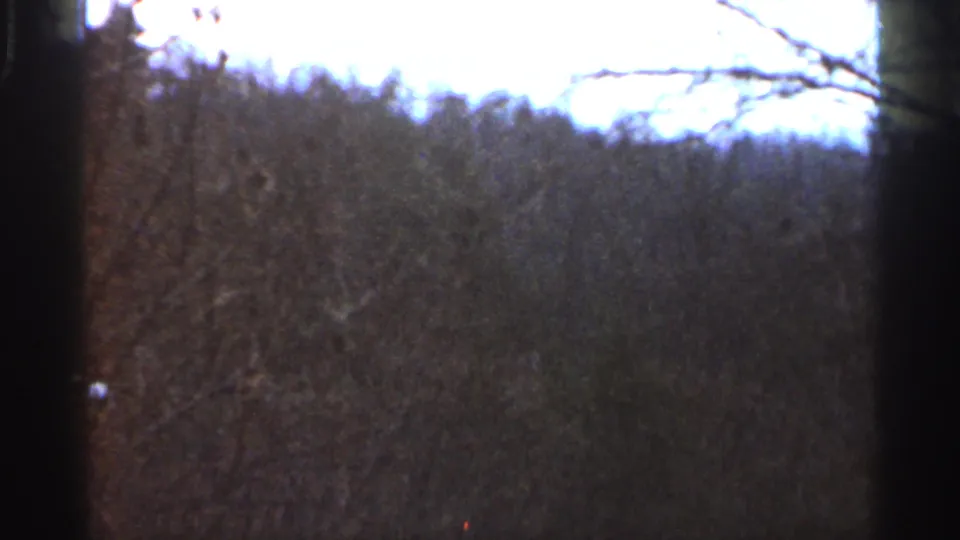 A dim, soft 1966 Georgia roadside view shows dense bare trees below a bright sky on 8mm film.