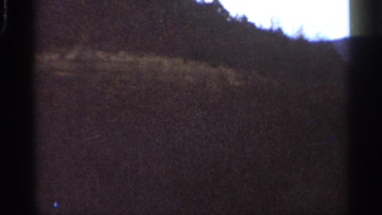 Rural Georgia treeline and hillside pass through the 8mm frame, with grain and heavy edge shadow.