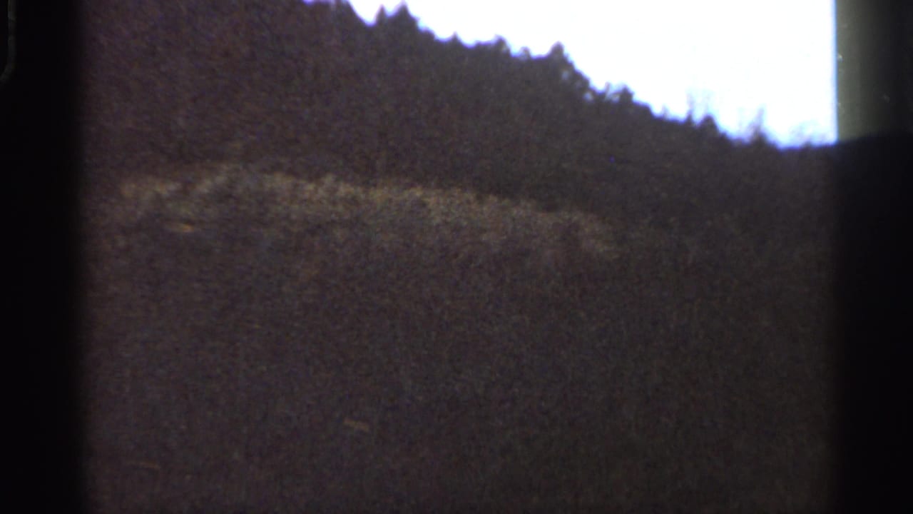 1966 Georgia countryside view with roadside brush, wooded slope, bright sky, and strong 8mm frame shadows.